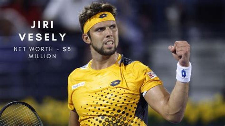 Who is Jiri Vesely: Biography, Net Worth & more